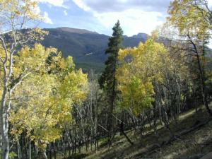 thm_colorful hillside.jpg